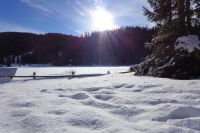 Skifahren mit Panoramablick